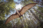 "Leteći zmaj sa Skaja": Fosil pronađen u Škotskoj menja tok istorije