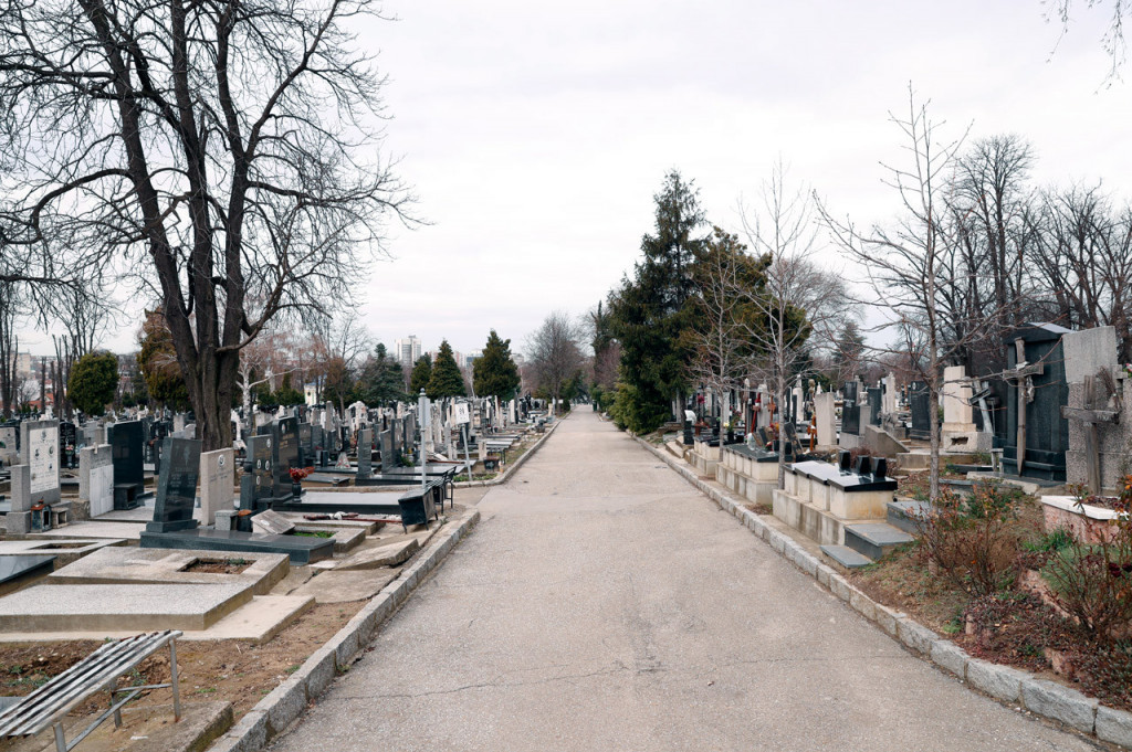 Rak pluća odnosi 5.000 života godišnje u Srbiji: Zašto skrining nije dovoljan u borbi protiv raka pluća