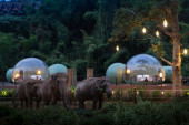 Spavanje sa slonovima pod zvezdama moguće je samo u jednoj zemlji sveta