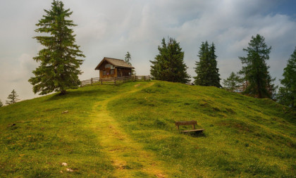 Šok i neverica: Mišomor prosut po livadi, pretila masovna pogibija stoke!