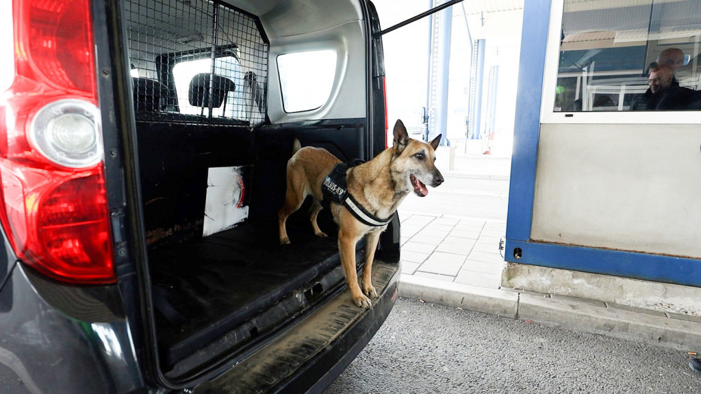 Kada vide Heru, švercerima i dilerima nije dobro! Kada promoli slatku njuškicu, krene im znoj na čelo (FOTO, VIDEO)