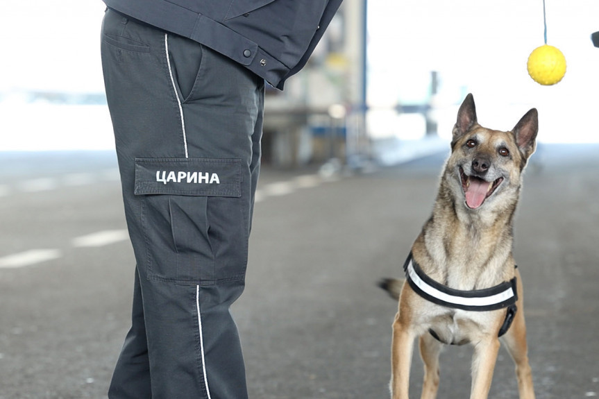 Kada vide Heru, švercerima i dilerima nije dobro! Kada promoli slatku njuškicu, krene im znoj na čelo (FOTO, VIDEO)