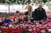 Njihov biznis miriše: Cveće je teže prodati nego proizvesti, kažu Đorđevići (FOTO/VIDEO)