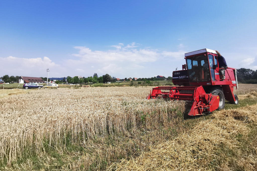 Izvoz pšenice iz Ukrajine „na kašičicu“: Rat mora da se završi brzo, ili...