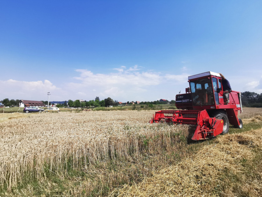 Zašto zadruge ne mogu do novca: Kamate visoke, procedure nesavladive