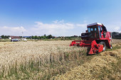 Srpski seljak ne plaši se gladi, sa deset prstiju sve sam proizvede: Ivica iz Pranjana na svojoj parceli uzgaja pšenicu (FOTO)