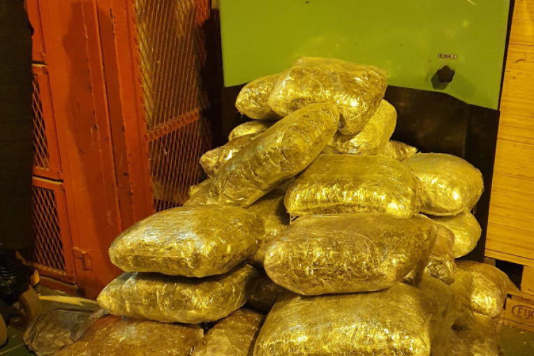 Tri akcije protiv dilera: U Negotinu zaplenjeno 18 kilograma marihuane