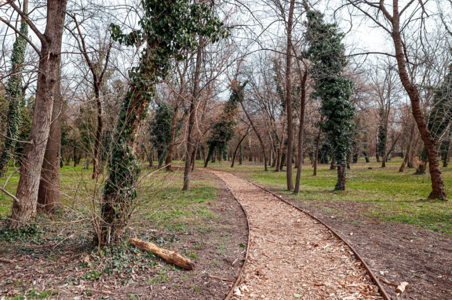 Đorđe za godinu dana napravio 4,5 miliona koraka: Prelazim oko 12 kilometara dnevno, rekord mi je 30 za dan! (FOTO)