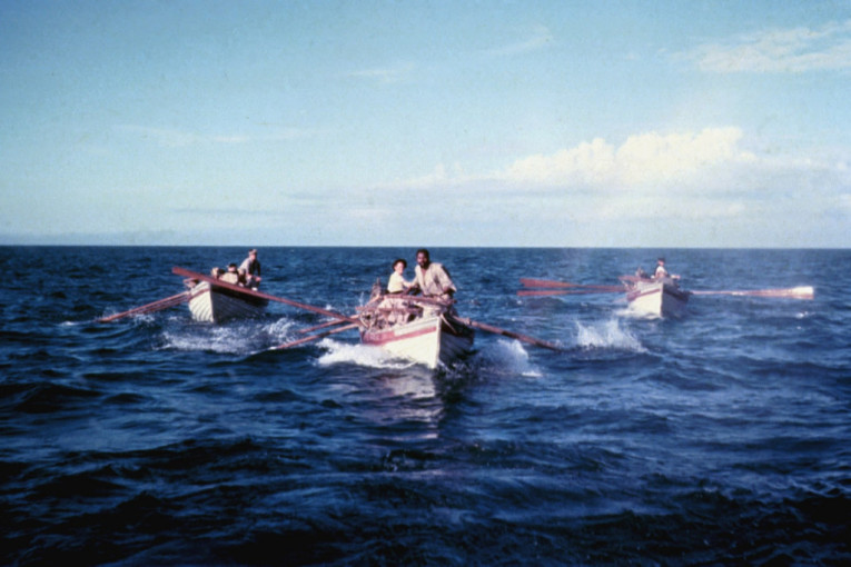 Pre 170 godina napisan je “Mobi Dik”: Čudna knjiga za koju se tvrdi da je roman