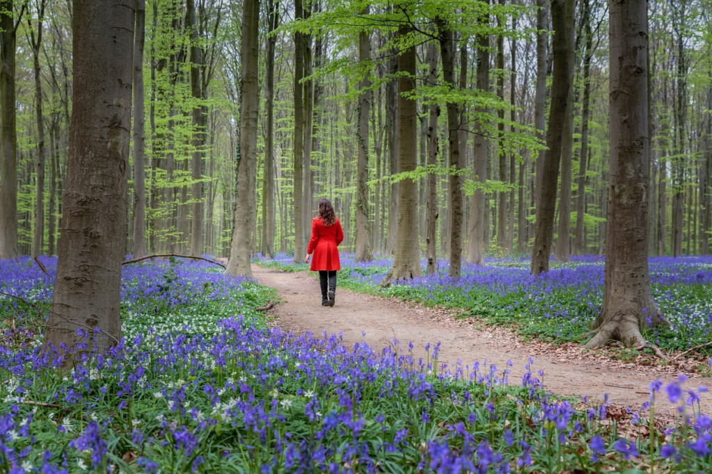 Potpuno neobično: Evo kako su meseci u godini dobili imena