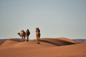 Da li ste znali da je pustinja Sahara nekada bila zelena?