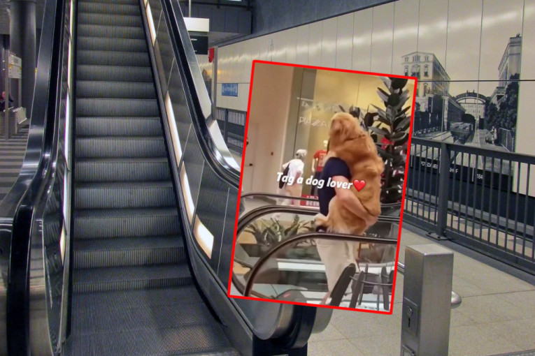 Pas se uplašio pokretnih stepenica, a ono što je njegov vlasnik uradio ulepšaće vam dan (VIDEO)
