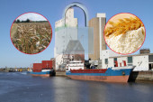 "Odluke o izvozu donosiće se zajedno sa proizvođačima žita"