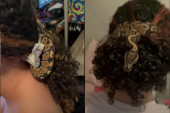 Neobičan modni dodatak: Udomljena zmija obožava da glumi traku za kosu svojoj vlasnici (VIDEO)