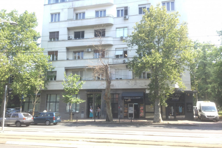 Uklanjaju se dva stabla u Beogradu, "Zelenilo" objasnilo i zbog čega