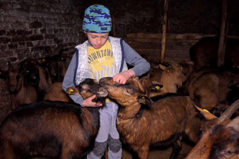 Tamo gde se zdravije živi: Ostavili restoran u Raškoj, otišli da gaje ovce (FOTO/VIDEO)