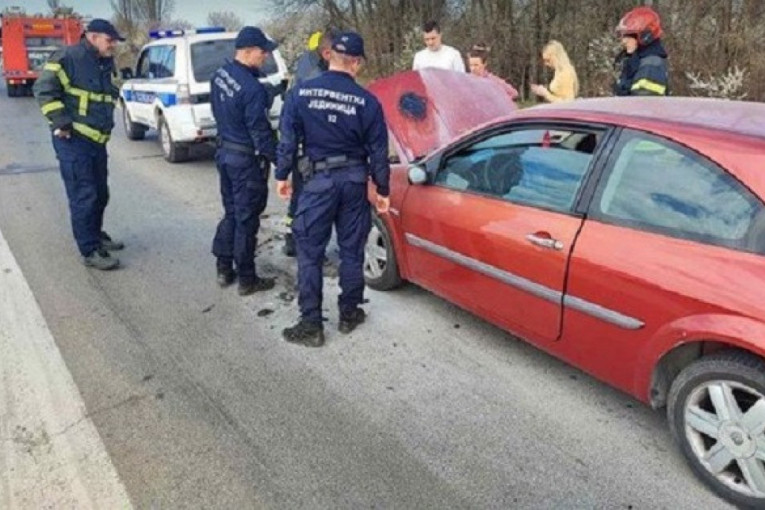 Izbila drama na Zrenjanincu: Požar buknuo u automobilu, putnici izvlačeni iz vozila