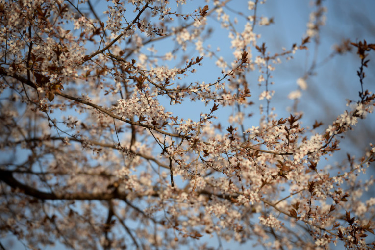 Divan prolećni dan pred nama! Od srede obrt - zima se ne da, biće i snega!