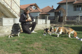 Lajkovački Snupi: Zahvaljujući psu iz čuvenog crtaća Zoranovi psi obišli pola sveta (FOTO)