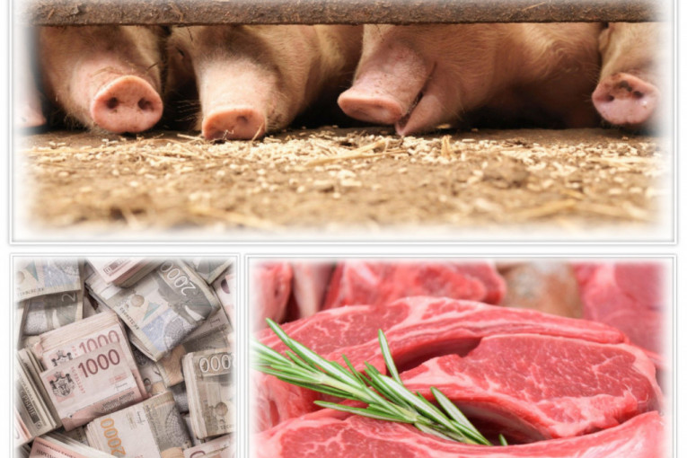 Proizvođači svinja kažu da je poskupljenje svinjskog mesa izvesno
