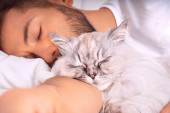 Mačkama je potrebna sigurnost i toplina: Zašto neke spavaju tik uz glavu vlasnika, a neke okrenute leđima