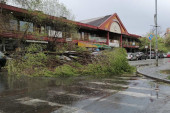 Nevreme oborilo drvo ispred novobeogradskog tržnog centra (FOTO)
