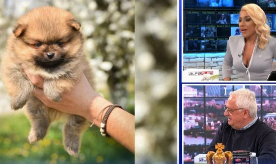 Jeremićeva dobija pojačanje! Više neće sama voditi jutarnji program (FOTO)