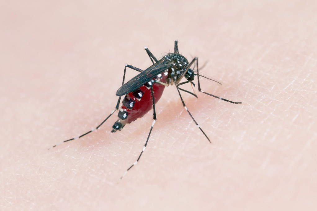24sedam ČOKA Potpisan ugovor o suzbijanju komaraca