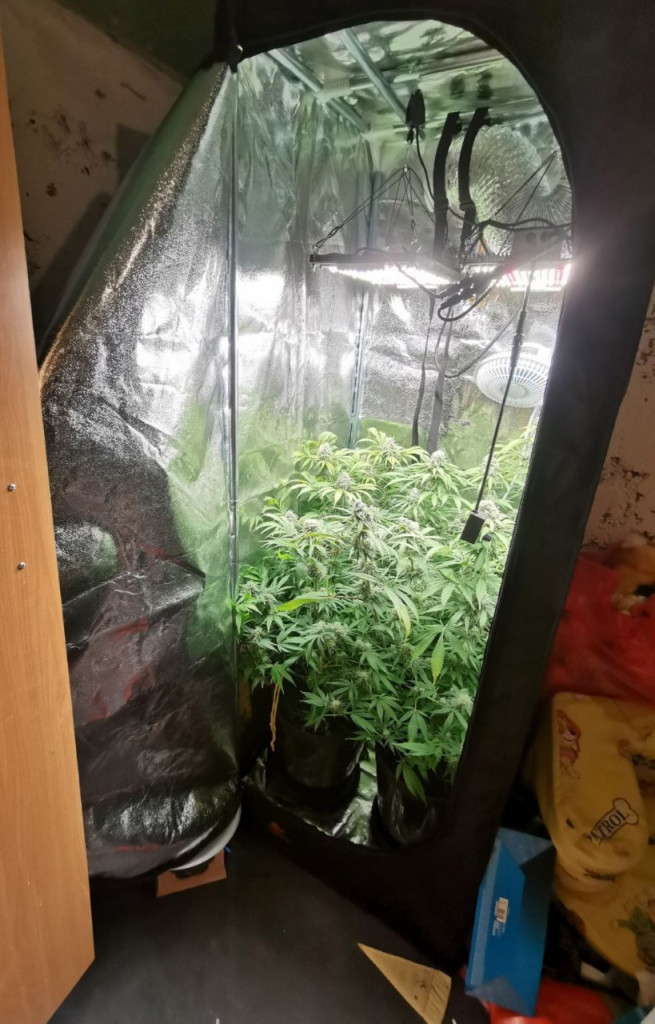 Beograđanin od stana napravio laboratoriju: Policija našla i više desetina hiljada evra! (FOTO/VIDEO)