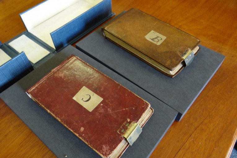 Misteriozno nestali, a još čudnije se vratili: Izloženi rukopisi Čarlsa Darvina (FOTO)
