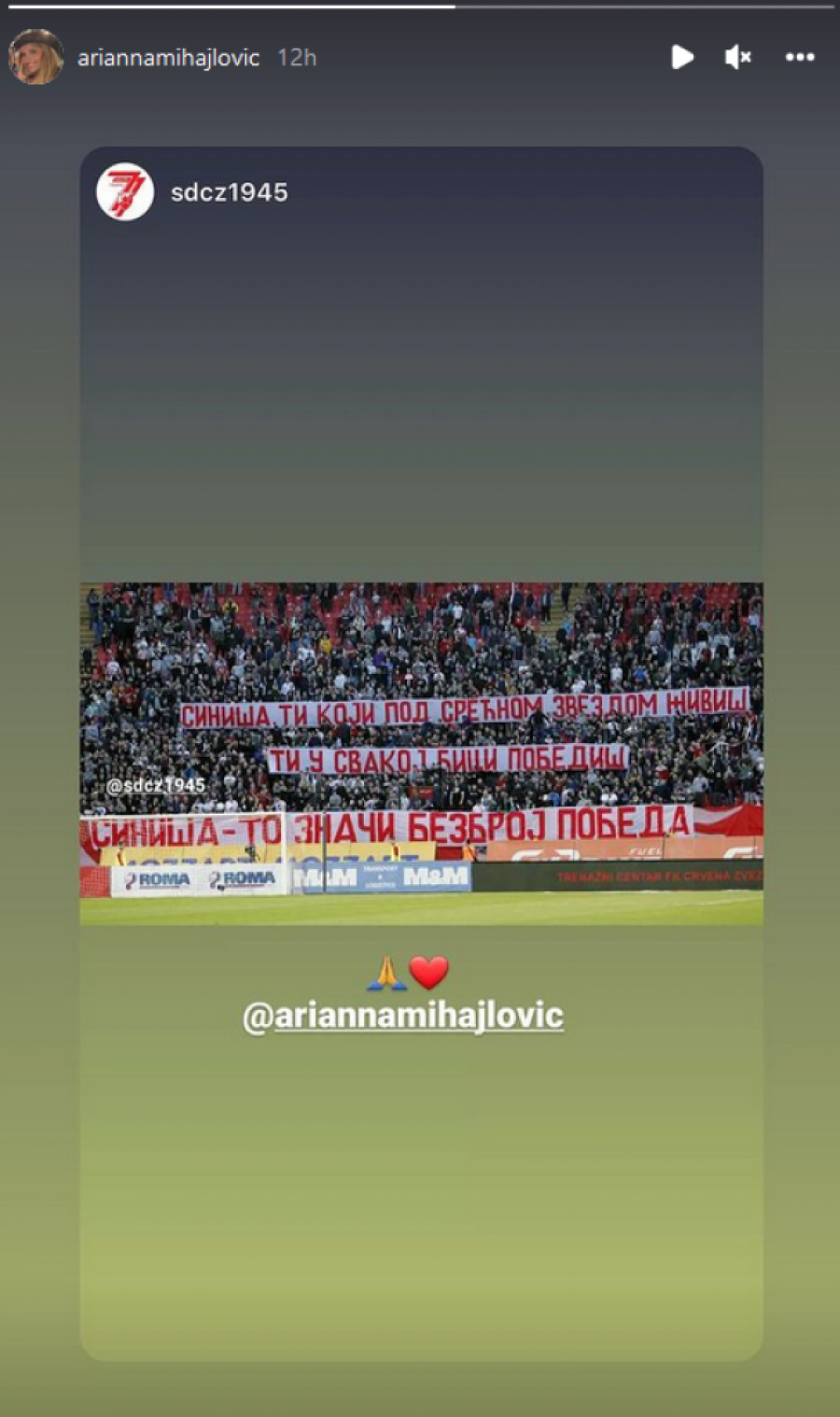 Mihina supruga, kao i ćerka se "rastopile"! Imale su samo jednu poruku za Delije koje su "grmele" zbog Siniše (FOTO, VIDEO)