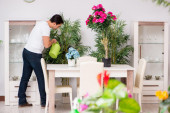 Buđ i vlaga u kući su opasne po zdravlje: Ove tri biljke će vam pomoći da rešite problem