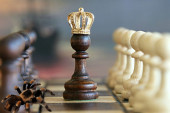 Neobična šahovska tabla: Umesto figura, 143 tarantule! (VIDEO)
