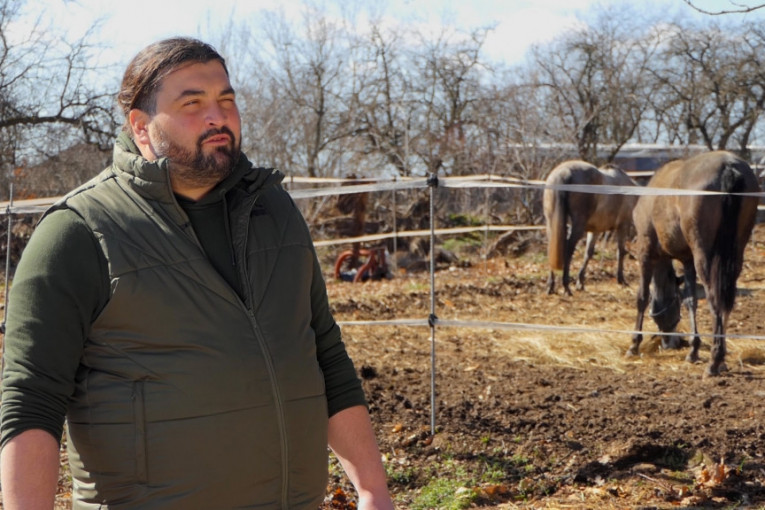 I Srbi će imati svog konja za hvalu: Kod Knića prave srpskog toplokrvnjaka (FOTO/VIDEO)