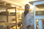 Zlatiborske krave pasu na domaćim pašnjacima, ali daju alpski sir: Nesvakidašnja biznis ideja Mirka iz sela Gostilje (FOTO)