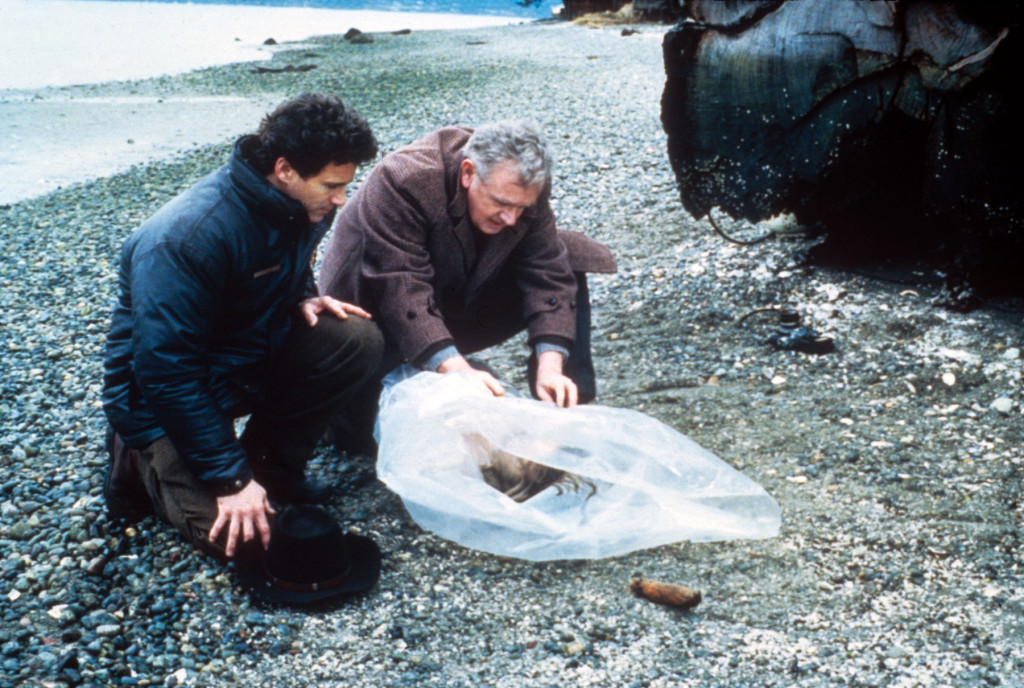 Večeras ću umreti: Ubistvo Lore Palmer u "Tvin Piksu" inspirisano je jezivim istinitim događajem (FOTO/VIDEO)