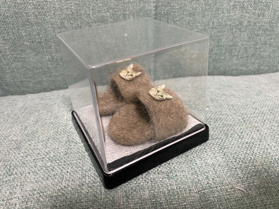 Mačka postala zvezda nakon što joj je vlasnica napravila papuče od vlastitog krzna