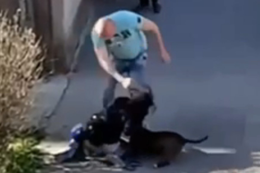 Uhapšen nasilnik iz Zemuna! Snimak na kome besomučno tuče ženu i psa je zgrozio sve