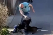 Oglasio se Zemunac koji je tukao devojku i njenog ljubimca: Nisam naslinik, za psa bih dao život! (VIDEO)