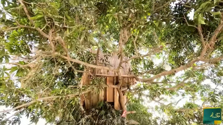 Tarzan iz Karačija živi u improvizovanoj kućici na drvetu već 8 godina