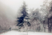 Zimska idila usred aprila: Veje li, veje na Zlatiboru, meštani se čudom čude (FOTO/VIDEO)