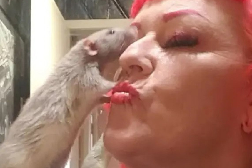 Živi sa 50 pacova: „To su moje bebice, ne rade baš ništa loše“ (VIDEO)