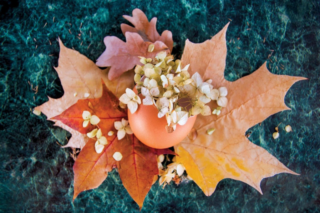 Mala umetnička dela na potpuno drugačiji način: Iskoristite prolećno cveće za ukrašavanje uskršnjih jaja (VIDEO)