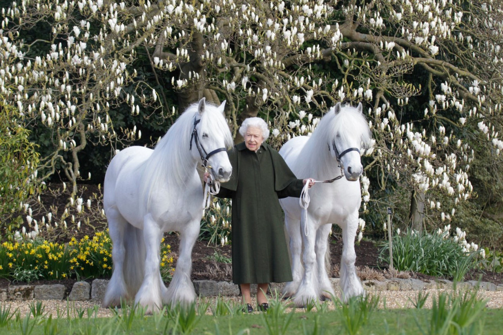 Kraljica Elizabeta se oglušila o savete lekara: Posle brojnih zdravstvenih problema, viđena kako jaše konja! (FOTO)