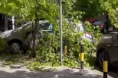 Palo drvo na Dorćolu i napravilo haos: Oštećeno više automobila, jedan potpuno uništen (VIDEO)