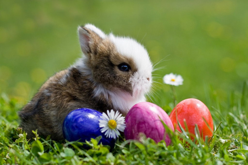 Ovo su najznačajniji običaji za Vaskrs: Nemojte zaspati pre ponoći, dete dodirnite crvenim jajetom