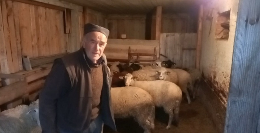 Novovaroški seljaci strepe: Leta sušna, zime duge, šta će biti sa cenom sena?