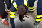 Vatrogasci heroji: Spasili kuče iz šahta dubokog dva metra (VIDEO)