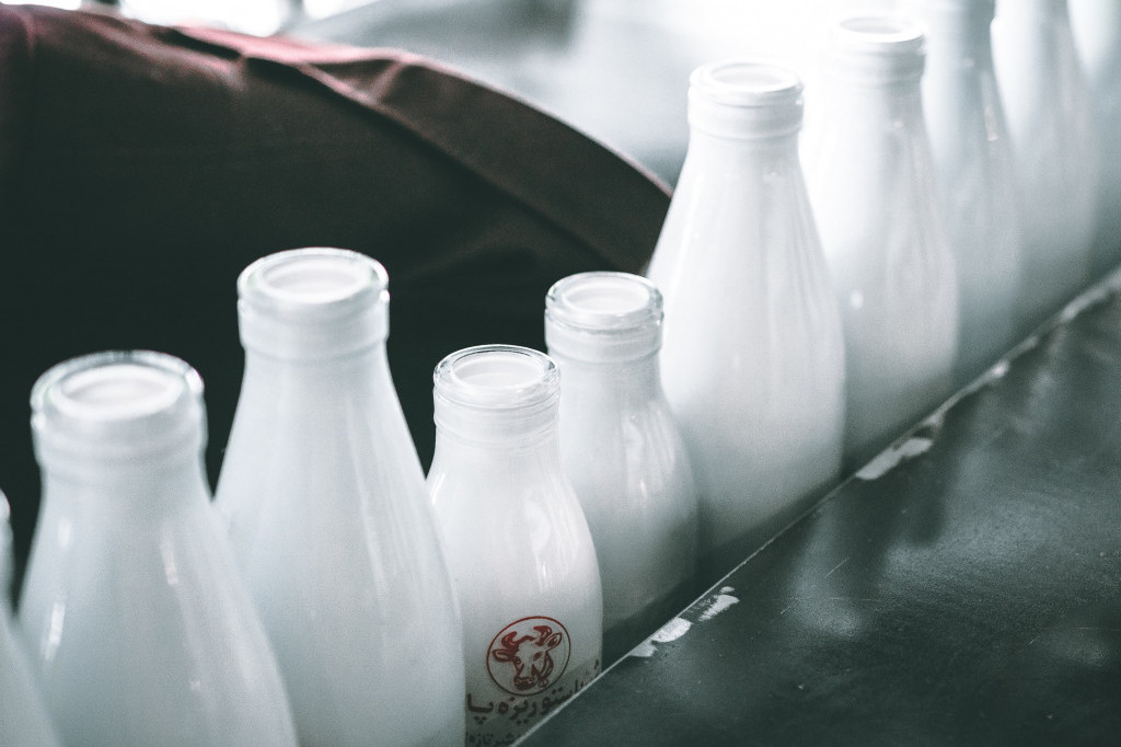 Problemi u regionu: Proizvodnja mleka smanjena, male farme se gase