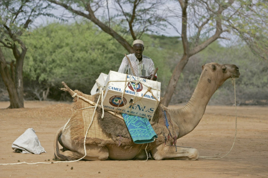 Kamila Rošan, konj Dendi i romantična priča o knjigomobilima: Kako knjige putuju svetom (FOTO)